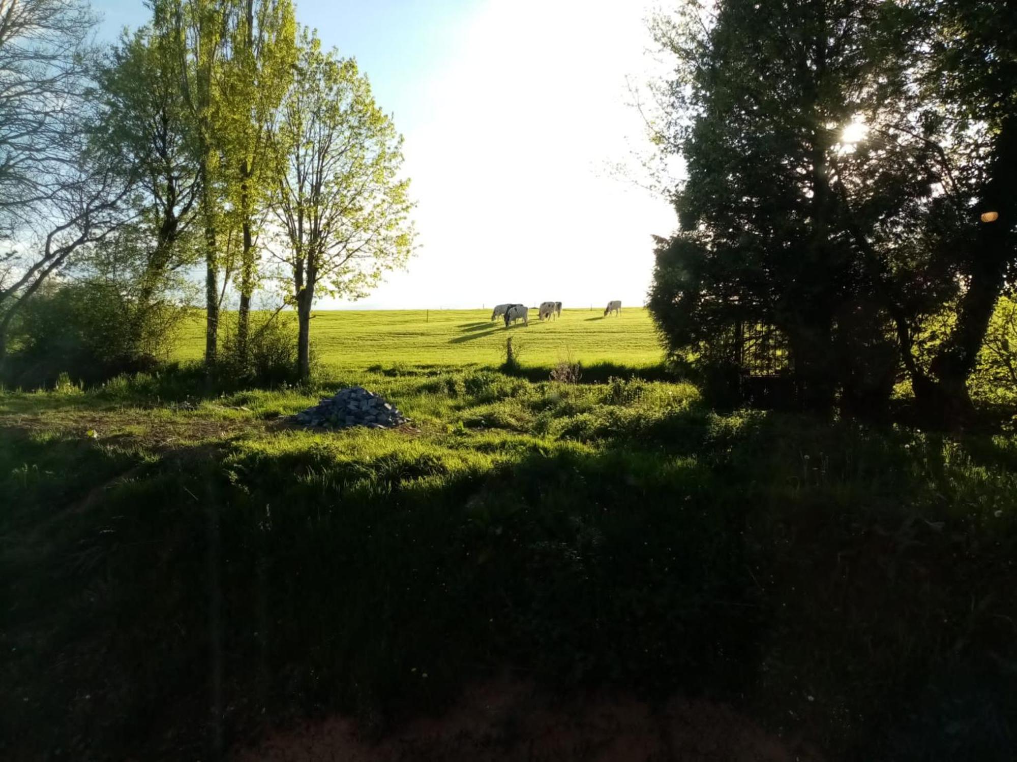 Feel At Home In Warre, Дюрби Екстериор снимка